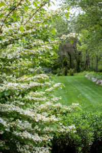 Landscape Garden Photography Connecticut by Allegra Anderson